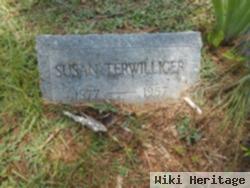 Susan Terwilliger