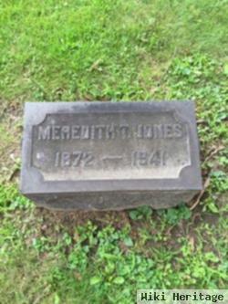 Meredith T Jones