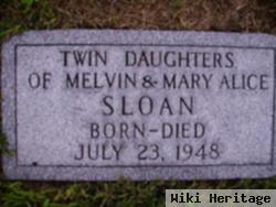 Twin Dau Sloan