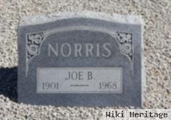 Joe B Norris