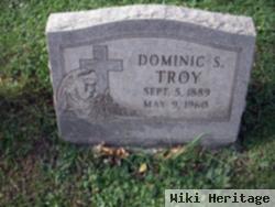 Dominic S Troy