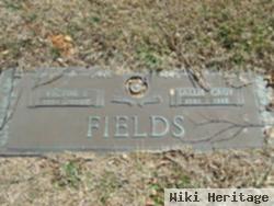 Victor E Fields