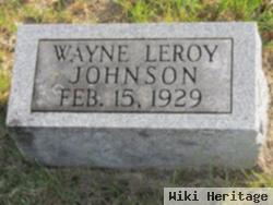 Wayne Leroy Johnson