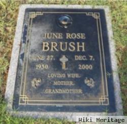 June Rose Brush