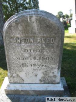 Anson Reed