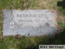 Walter Harold Otto