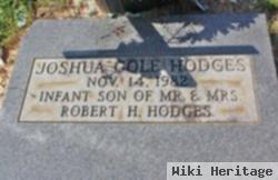 Joshua Cole Hodges