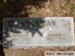 Arthur F Wellman