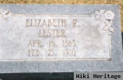 Sallie Elizabeth Riddle Lester