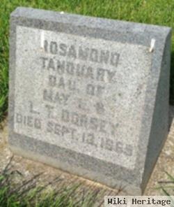 Rosamond Tanquary