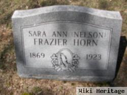 Sarah Ann Nelson Frazier Horn