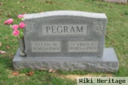 Cyrus E Pegram