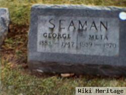 Meta Seaman