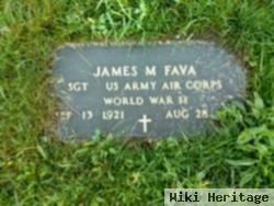 James M Fava