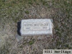 Henry Wayne "wayne" Mellinger