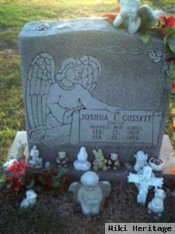 Joshua L. Gossett