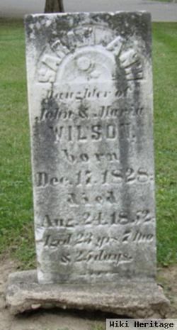 Sarah Ann Wilson