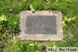 Sophia F. E. Wolter Hensel