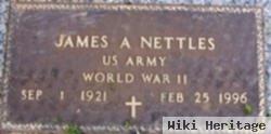 James A Nettles