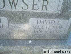 David Leroy Bowser