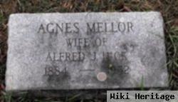 Agnes Mellor Hick