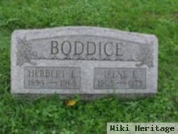 Herbert Enoch Boddice