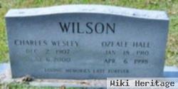 Charles Wesley Wilson