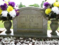 James Dalton Bice