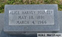 Alice Harvey Pointer