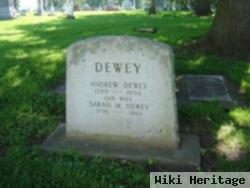 Sarah M Dewey