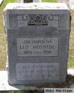 Leo Hosnedl