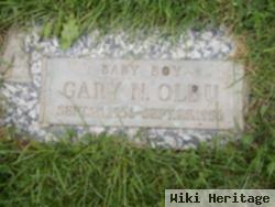 Gary N. Olbu