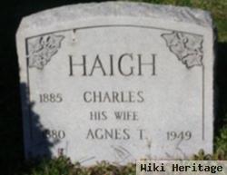 Agnes T. Haigh