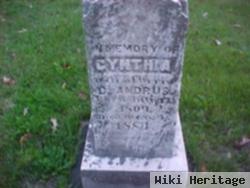 Cynthia Martin Andrus