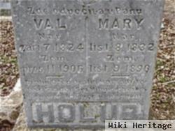 Mary Holub