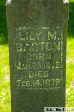 Lilly M Barton