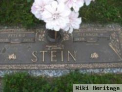 Peter J Stein