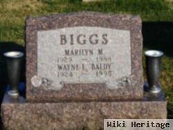 Marilyn M. Schnipkoweit Biggs