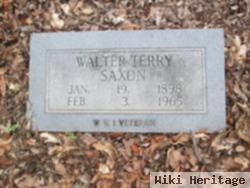 Walter Terry Saxon