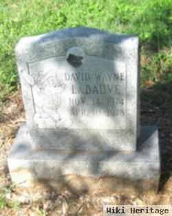 David Wayne La Bauve