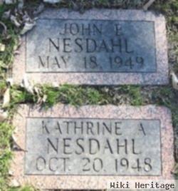 John E. Nesdahl