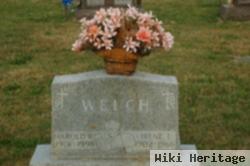 Irene Lucille Slygh Welch