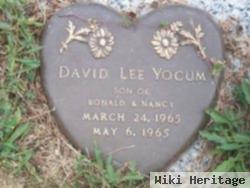 David Lee Yocum