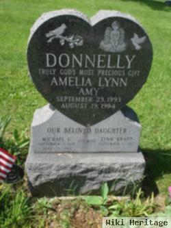 Lynn Knapp Donnelly