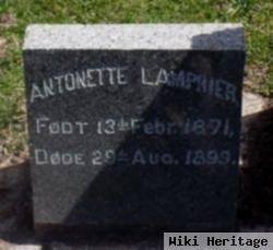 Antonette Lamphier