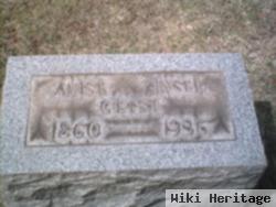 Anise K. Geist