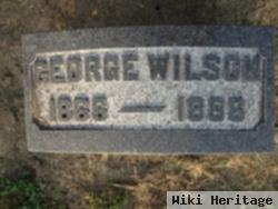 George Wilson