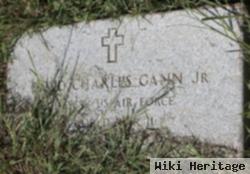 David Charles Gann, Jr