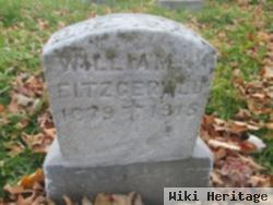 William J Fitzgerald