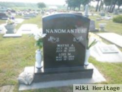 Lois Merle Frederick Nanomantube